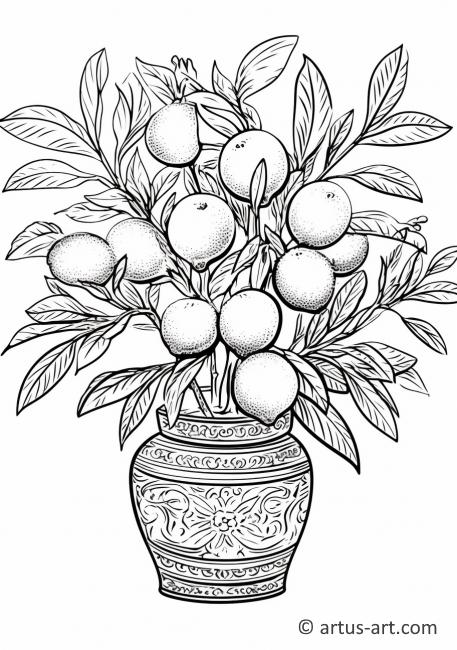 Página para Colorir de Kumquat em um Vaso